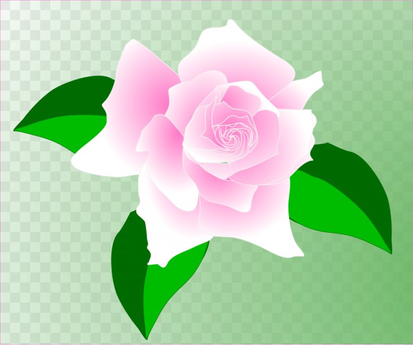 Sweet Scented Geranium Damask Rose Clip Art, PNG, 900x751px, Sweet Scented Geranium, China Rose, Damask Rose, Flora, Floral Design Download Free
