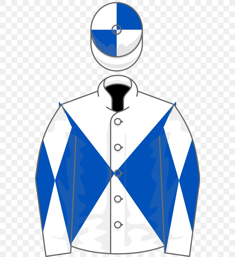 Thoroughbred Ascot Racecourse Chesham Stakes Horse Racing, PNG, 576x899px, Thoroughbred, Ascot Racecourse, Horse, Horse Racing, Kentucky Derby Download Free