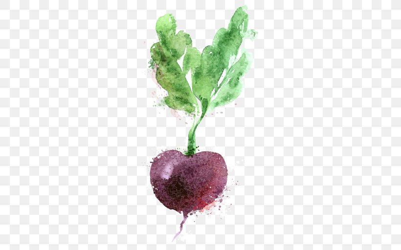 Watercolor Painting Logo, PNG, 512x512px, Watercolor Painting, Beet, Beetroot, Common Beet, Drawing Download Free