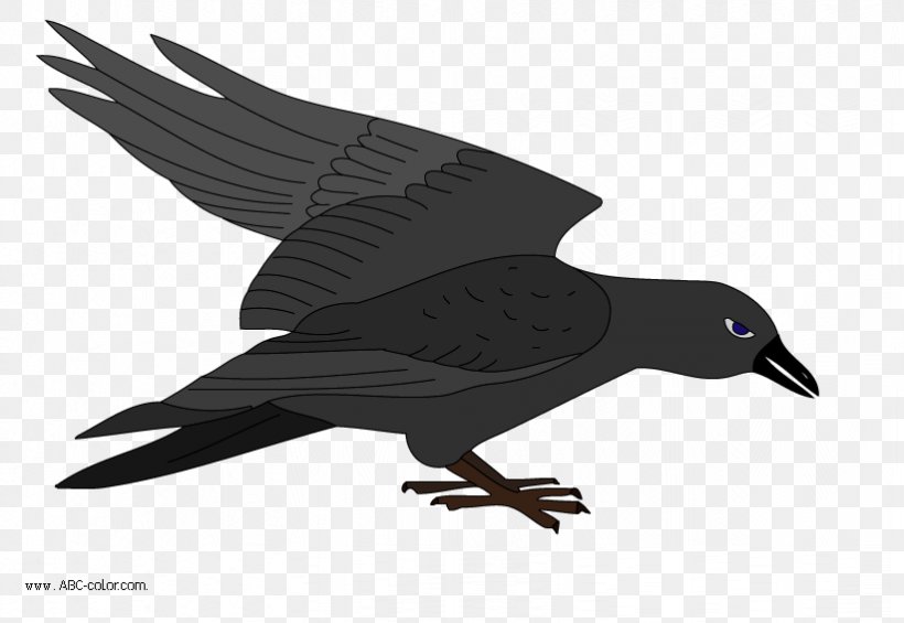 Bird Drawing Clip Art, PNG, 822x567px, Bird, American Crow, Beak, Bird Of Prey, Bitmap Download Free