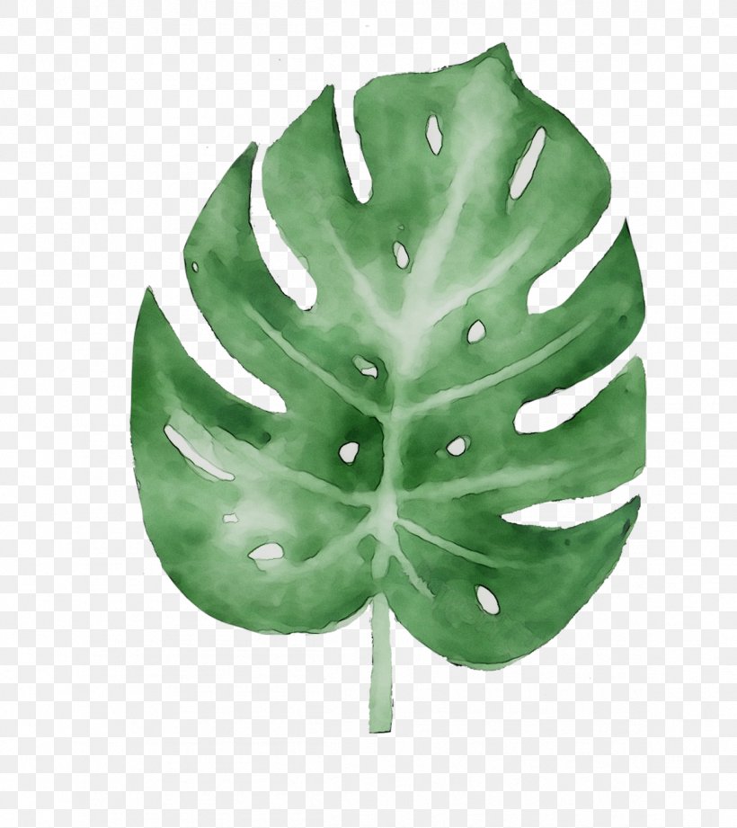 Leaf Tree, PNG, 1157x1300px, Leaf, Botany, Flower, Green, Monstera Deliciosa Download Free