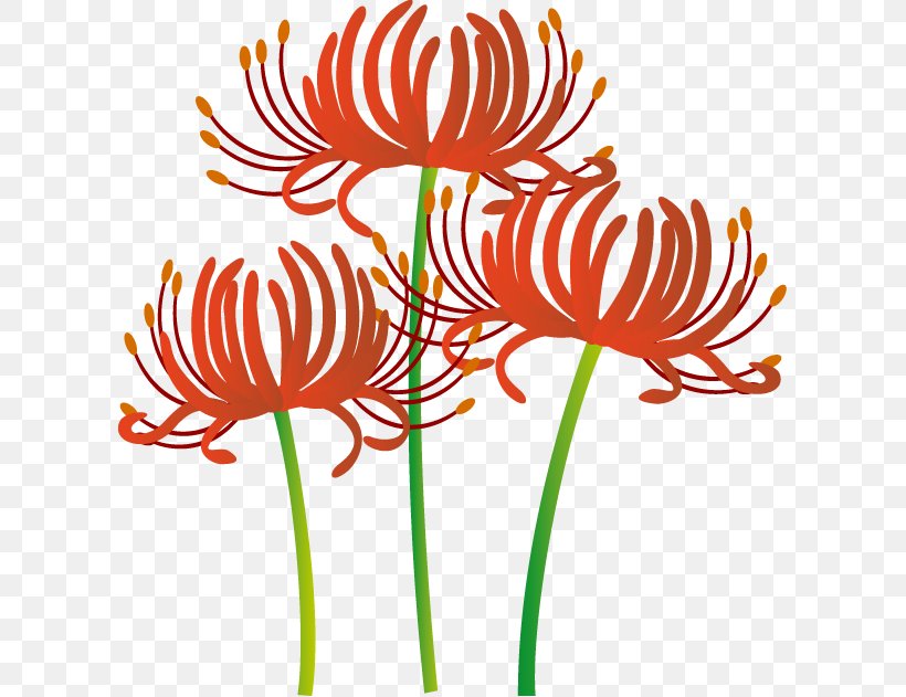 Clip Art Higan Autumn Illustration Red Spider Lily, PNG, 606x631px, Higan, Artwork, Autumn, Chrysanths, Cut Flowers Download Free