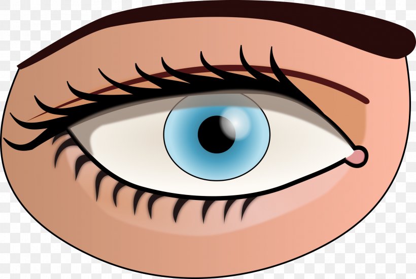 Human Eye Iris Pupil Clip Art, PNG, 2400x1614px, Watercolor, Cartoon, Flower, Frame, Heart Download Free