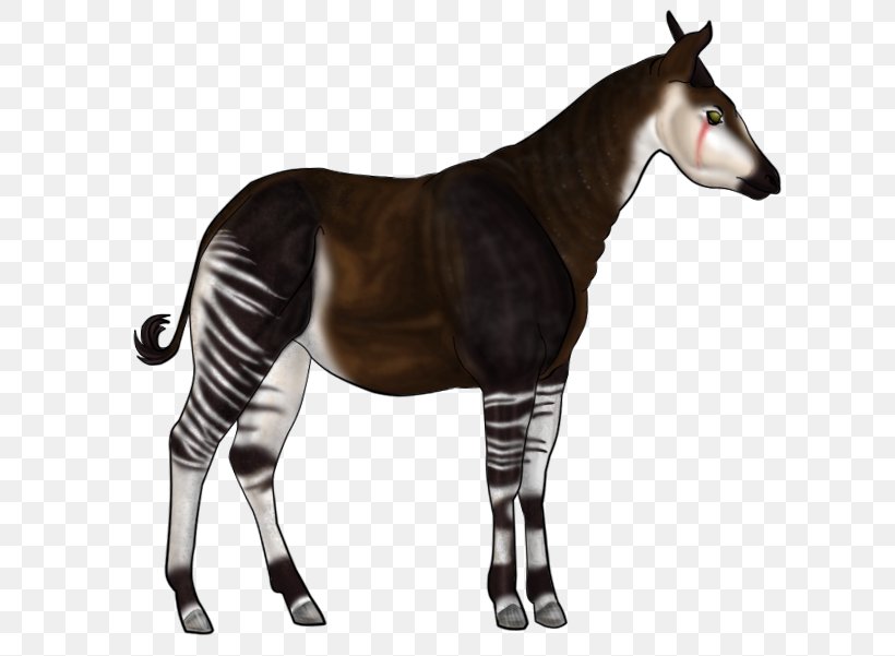 Okapi Horse Kerry Beagle Mane Pony, PNG, 717x601px, Okapi, Animal, Breed, Depositphotos, Dog Download Free