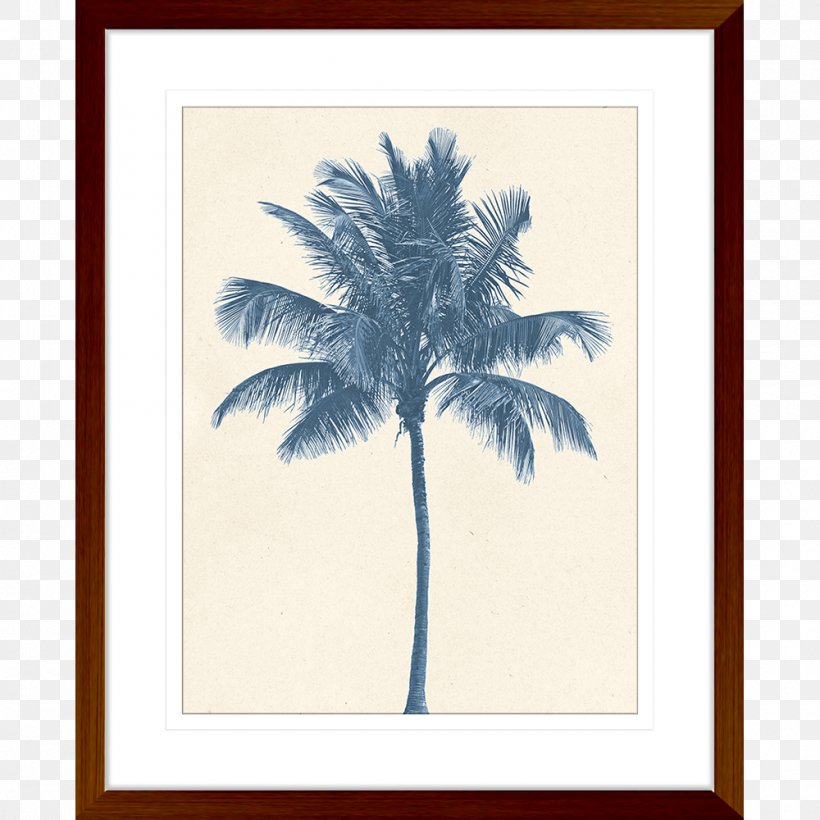Coconut Tree Hyophorbe Lagenicaulis Stock Photography, PNG, 1000x1000px, Coconut, Arecaceae, Arecales, Date Palm, Hyophorbe Download Free