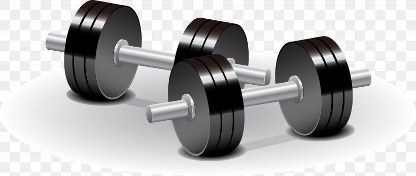 Dumbbell Weight Training Olympic Weightlifting Physical Exercise, PNG, 3663x1551px, Dumbbell, Barbell, Cartoon, Exercise Equipment, Olympic Weightlifting Download Free