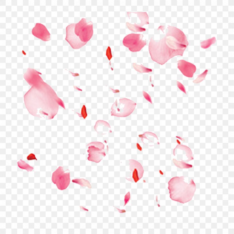 Flower Petal, PNG, 1226x1226px, Flower, Heart, Petal, Pink, Pink Flowers Download Free