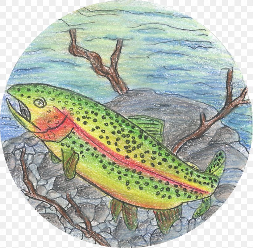 Salmon 09777 Fauna Ecosystem Trout, PNG, 1000x980px, Salmon, Ecosystem, Fauna, Fish, Organism Download Free