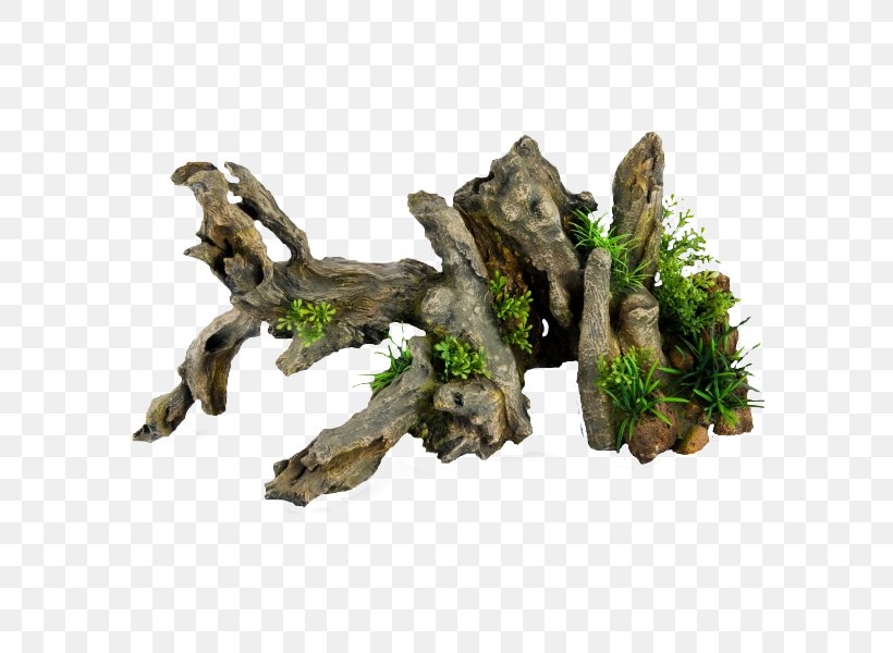 Tree Driftwood Houseplant, PNG, 600x600px, Tree, Driftwood, Houseplant, Plant, Root Download Free