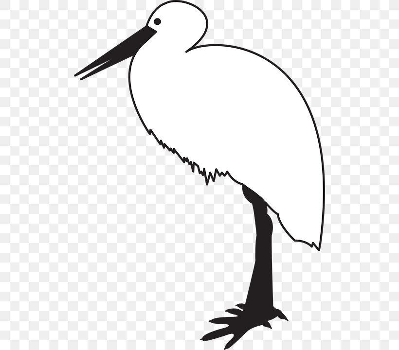 White Stork Black Stork Bird Black And White Clip Art, PNG, 516x720px, White Stork, Area, Artwork, Beak, Bird Download Free