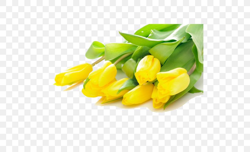Tulip Flower Bouquet Yellow Stock.xchng, PNG, 515x500px, Tulip, Artificial Flower, Blue, Color, Cut Flowers Download Free