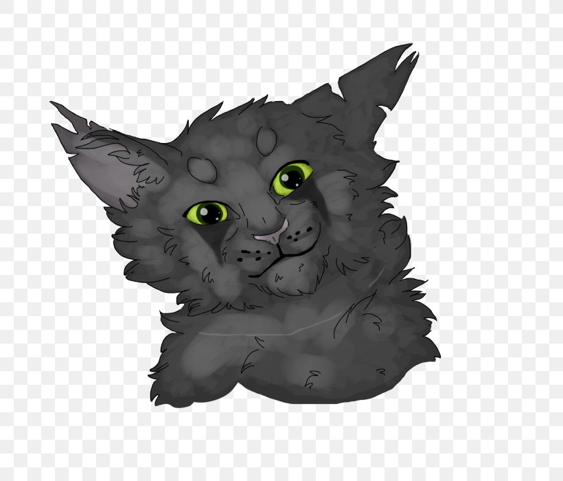 Whiskers Korat Kitten Black Cat Snout, PNG, 800x700px, Whiskers, Black Cat, Carnivoran, Cat, Cat Like Mammal Download Free