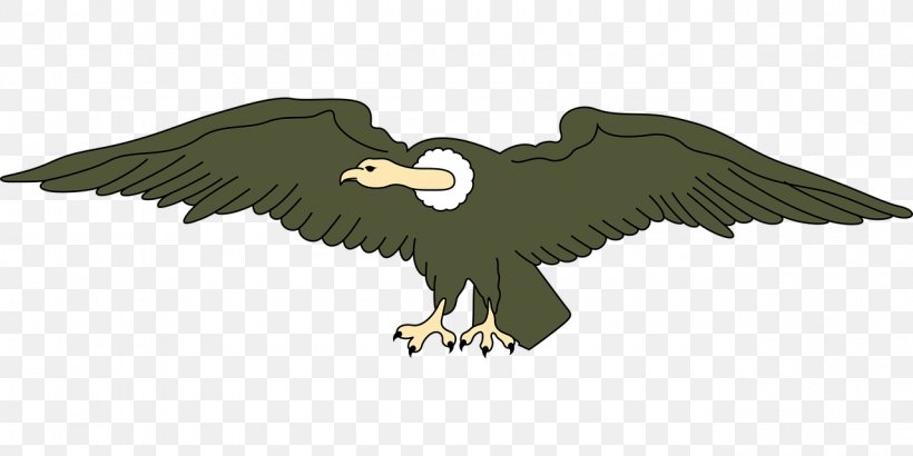 Bald Eagle Vulture Clip Art, PNG, 1280x640px, Bald Eagle, Accipitriformes, Andean Condor, Beak, Bird Download Free