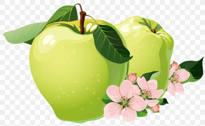 Granny Smith Apple Auglis, PNG, 1024x631px, Granny Smith, Apple, Auglis, Diet Food, Food Download Free