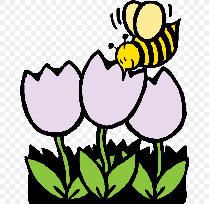 Honey Bee Coloring Book Flower Clip Art, PNG, 800x800px, Bee, Art, Artwork, Beehive, Black And White Download Free