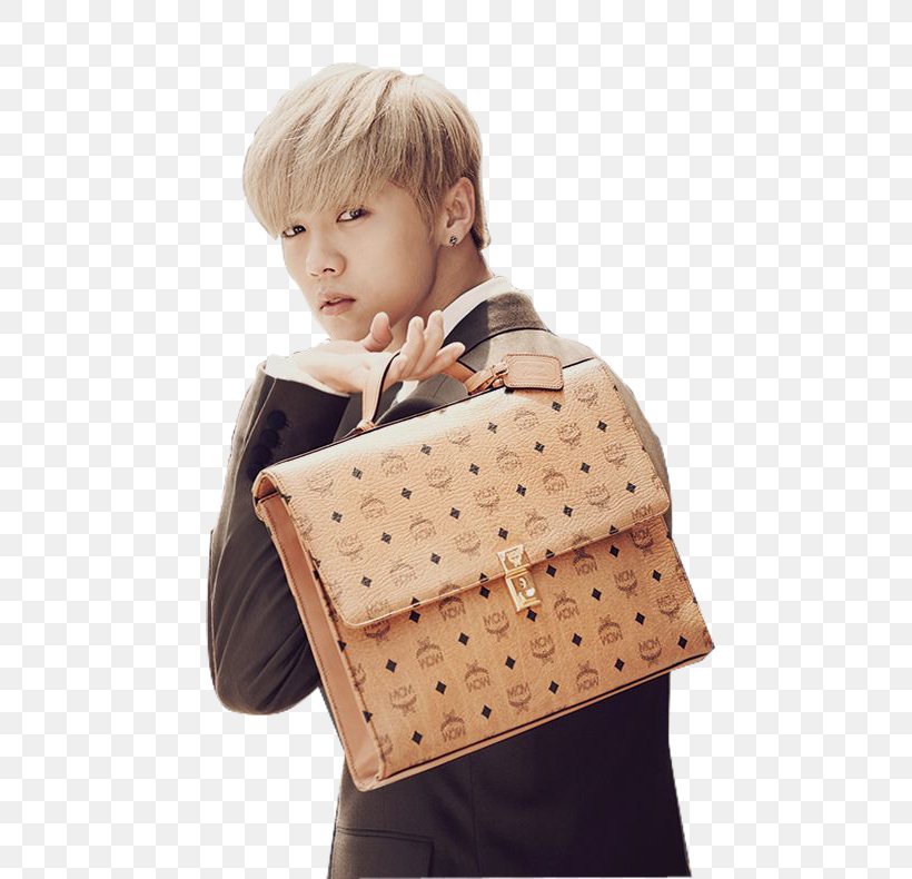 EXO Handbag K-pop MCM Worldwide, PNG, 720x790px, Watercolor, Cartoon, Flower, Frame, Heart Download Free