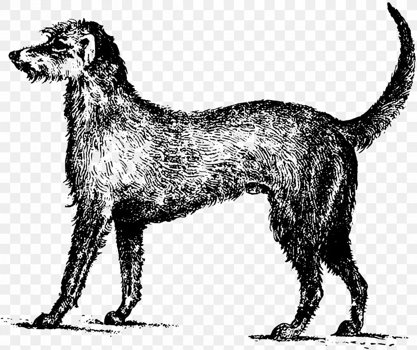 Irish Wolfhound Irish Terrier Puppy Soft-coated Wheaten Terrier Clip Art, PNG, 2400x2018px, Irish Wolfhound, Black And White, Carnivoran, Dog, Dog Breed Download Free