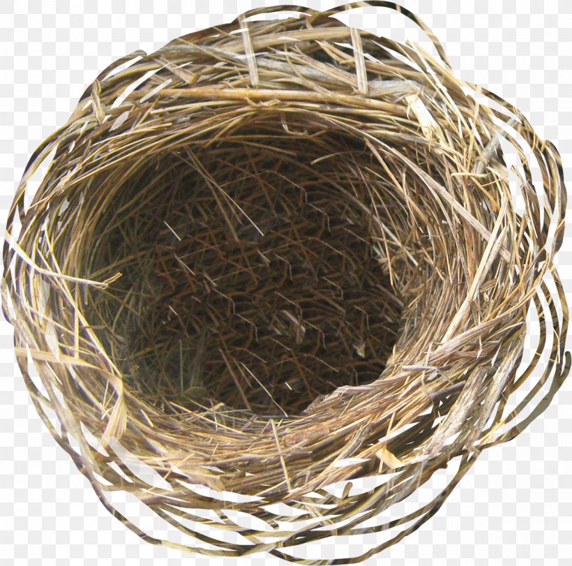 Easter Egg Bird Easter Egg, PNG, 1200x1187px, Easter, Bird, Bird Nest, Easter Egg, Egg Download Free