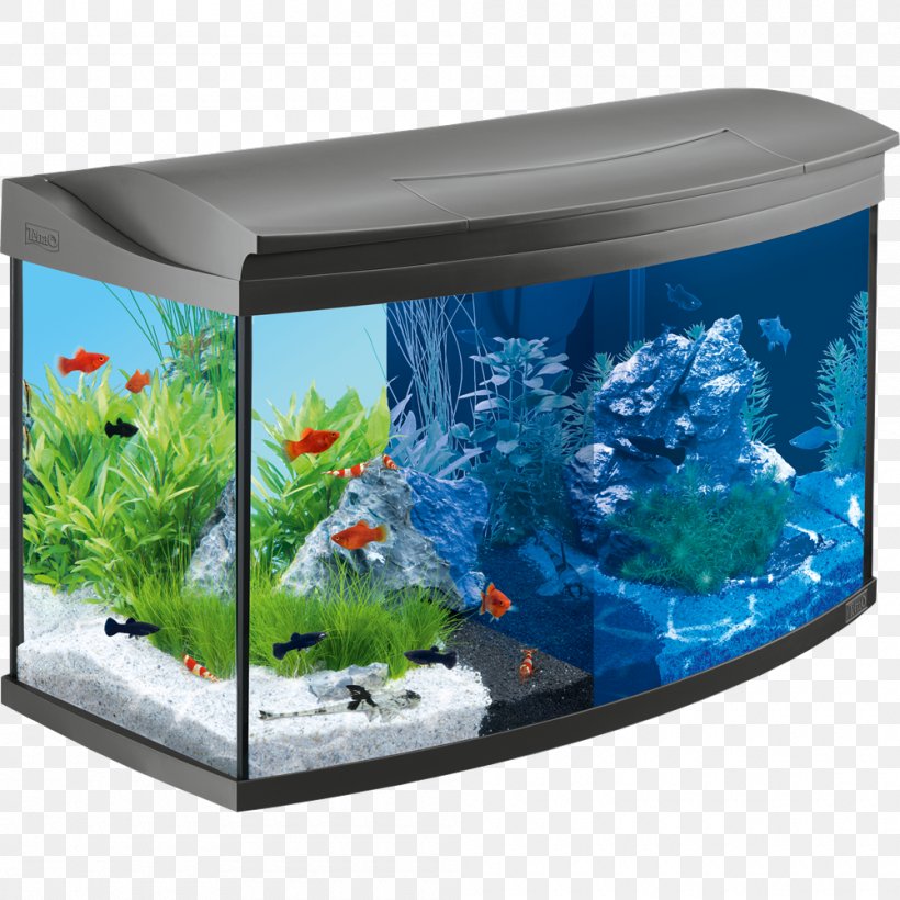 Light Tetra Aquariums Aquascaping, PNG, 1000x1000px, Light, Air Pump, Akwarystyka Morska, Aquarium, Aquarium Decor Download Free