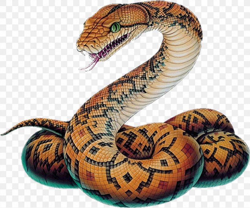 Snake Vipers Ball Python Drawing Sketch, PNG, 1233x1024px, Snake, Anamorphosis, Art, Ball Python, Boa Constrictor Download Free