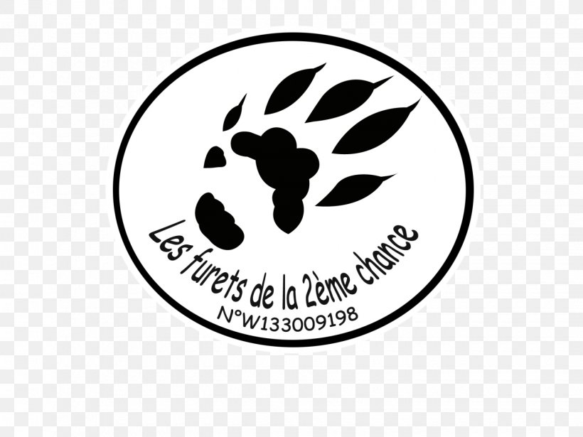 Ferret LesFurets.com Logo Brand Font, PNG, 1440x1080px, Ferret, Area, Being, Black, Black And White Download Free