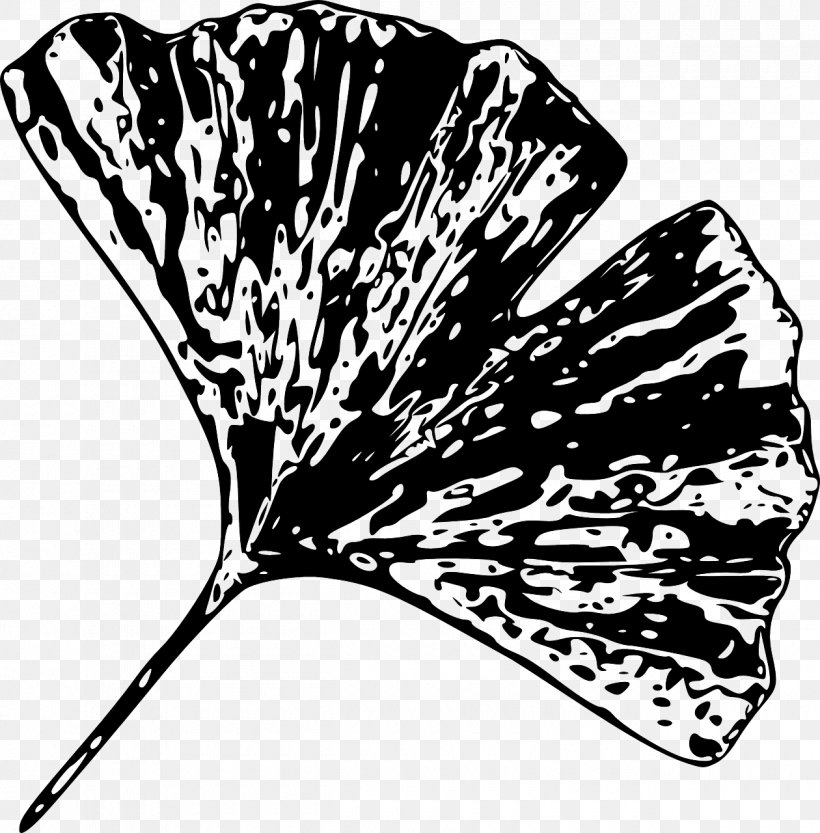 Ginkgo Biloba Leaf Tree Butterfly Clip Art, PNG, 1260x1280px, Ginkgo Biloba, Black And White, Butterfly, Flowering Plant, Ginkgo Download Free