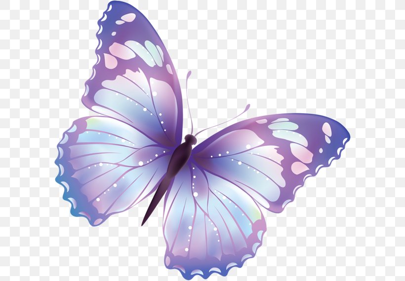 Butterfly Free Content Clip Art, PNG, 600x570px, Butterfly, Arthropod, Brush Footed Butterfly, Cartoon, Drawing Download Free