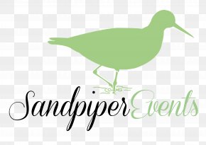 Water Bird Shorebird - Crane Bird PNG
