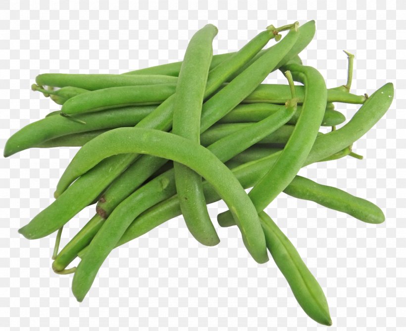 Green Bean Vegetable Common Bean Recipe, PNG, 1280x1043px, Green Bean, Bean, Broad Bean, Commodity, Common Bean Download Free