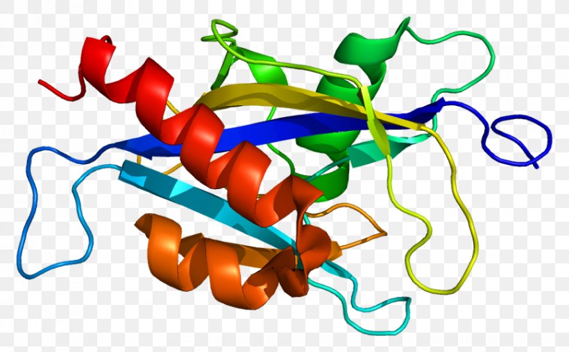 NUDT2 Protein Nudix Hydrolase Gene Enzyme, PNG, 867x538px, Watercolor