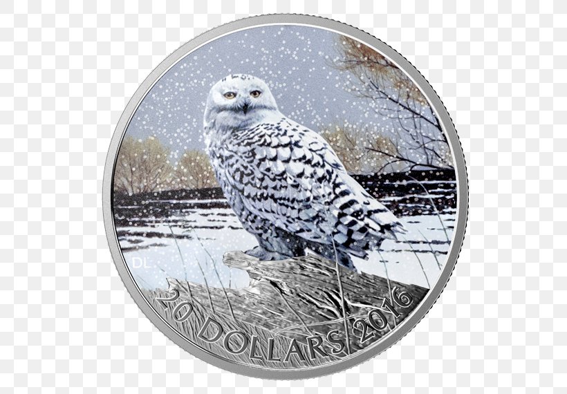 Snowy Owl Canada Coin Silver, PNG, 570x570px, Owl, Beak, Bird, Bird Of Prey, Bullion Download Free