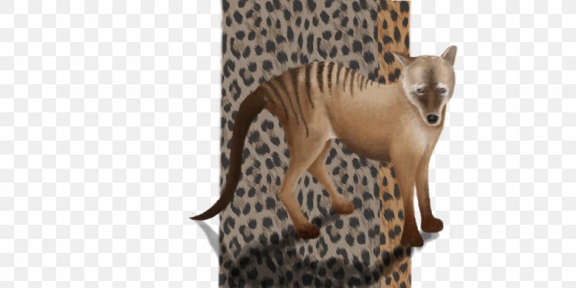 Whiskers Cheetah Big Cat Snout, PNG, 1024x512px, Whiskers, Big Cat, Big Cats, Carnivoran, Cat Download Free
