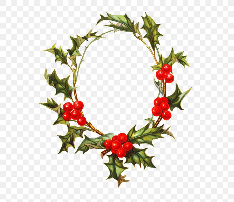 Borders And Frames Christmas Decoration Wreath, PNG, 574x709px, Borders And Frames, Aquifoliaceae, Aquifoliales, Christmas, Christmas Decoration Download Free