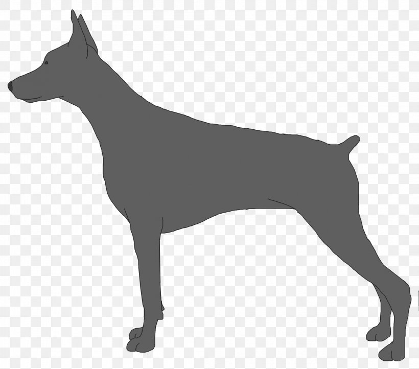 Dobermann Miniature Pinscher Muzzle Dog Breed Guard Dog, PNG, 2093x1843px, Dobermann, Bark, Black And White, Carnivoran, Dog Download Free