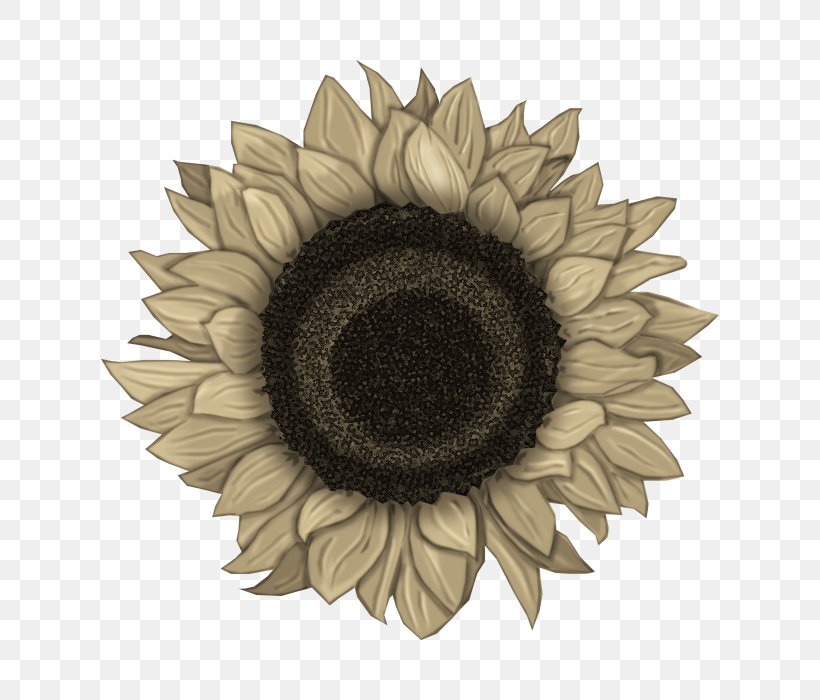 Common Sunflower Clip Art, PNG, 700x700px, Common Sunflower, Art, Blue, Daisy Family, Drawing Download Free