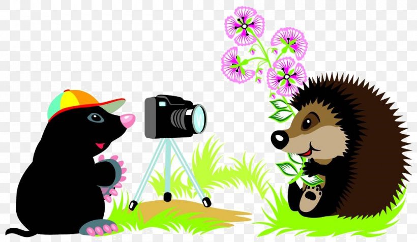 Hedgehog European Mole, PNG, 1000x581px, Hedgehog, Bear, Carnivoran, Cartoon, Cat Download Free
