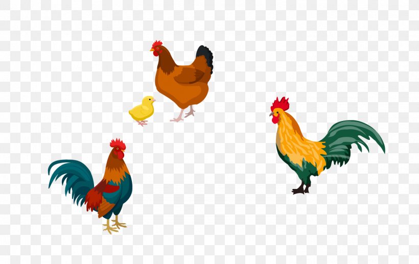 Rooster Roast Chicken, PNG, 1484x936px, Rooster, Beak, Bird, Chicken, Chicken Meat Download Free