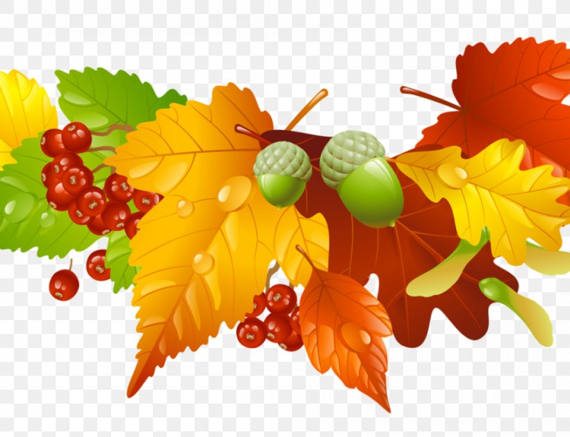 Vector Graphics Clip Art Stock Photography Image Royalty-free, PNG, 1000x766px, Stock Photography, Autumn, Autumn Leaf Color, Food, Fruit Download Free