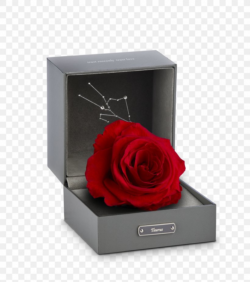 Beach Rose Gift Aries Valentines Day Box, PNG, 1533x1734px, Beach Rose, Aries, Box, Character Structure, Constellation Download Free