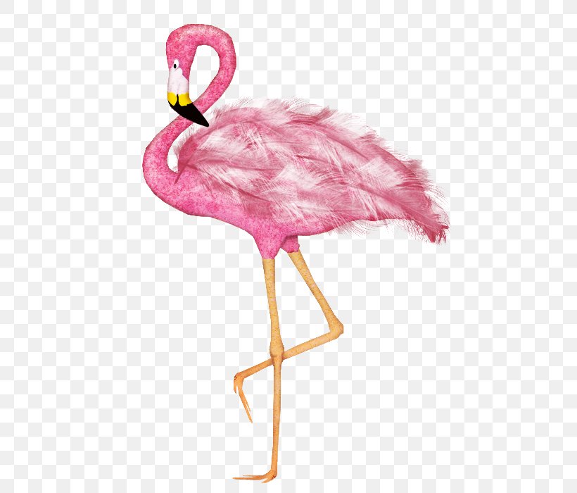 Water Bird Greater Flamingo Drawing Animal, PNG, 546x700px, Bird, Animal, Beak, Color, Drawing Download Free