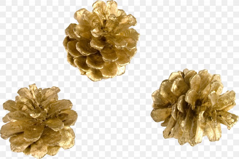 Christmas Gold Conifer Cone Clip Art, PNG, 4087x2727px, Christmas, Brass, Christmas Ornament, Christmas Tree, Conifer Download Free