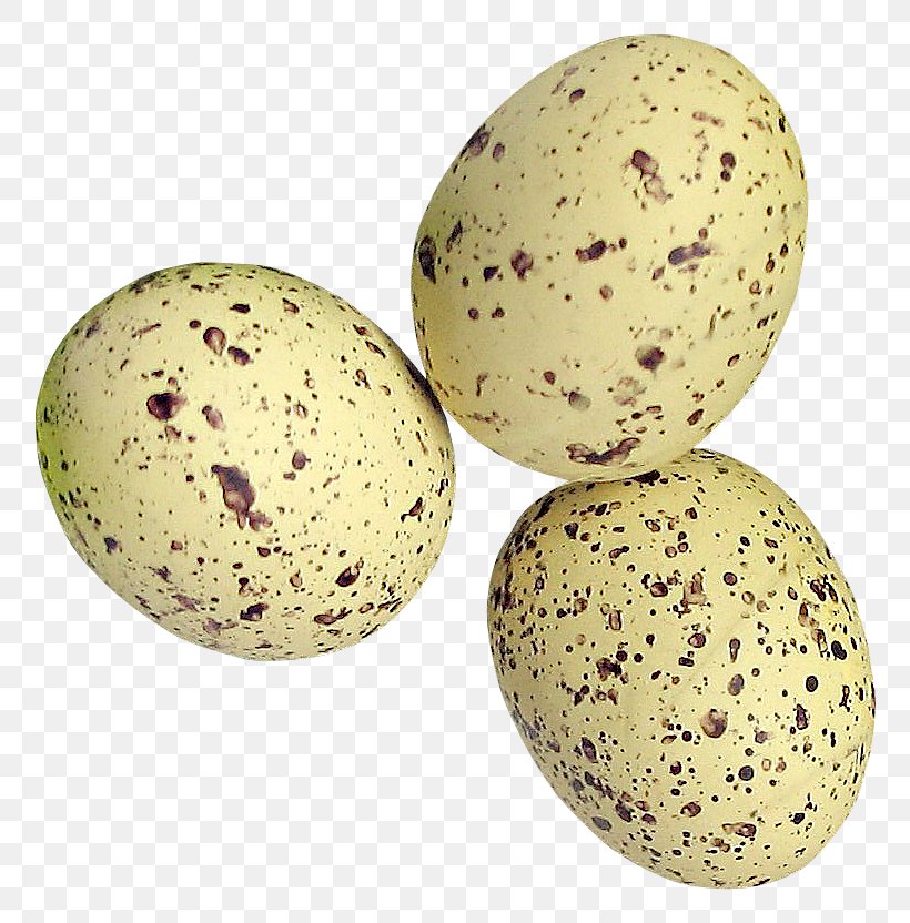 Quail Eggs Common Quail, PNG, 818x832px, Quail, Common Quail, Egg, Gratis, Quail Eggs Download Free