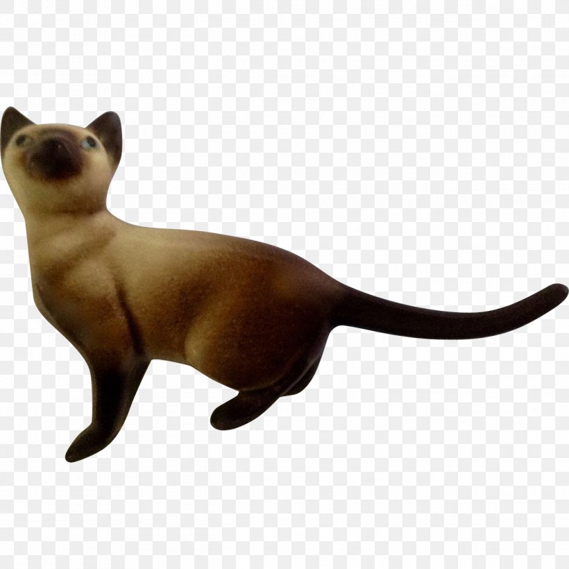 Whiskers Cat Fauna Snout Tail, PNG, 1347x1347px, Whiskers, Animal, Animal Figure, Carnivoran, Cat Download Free