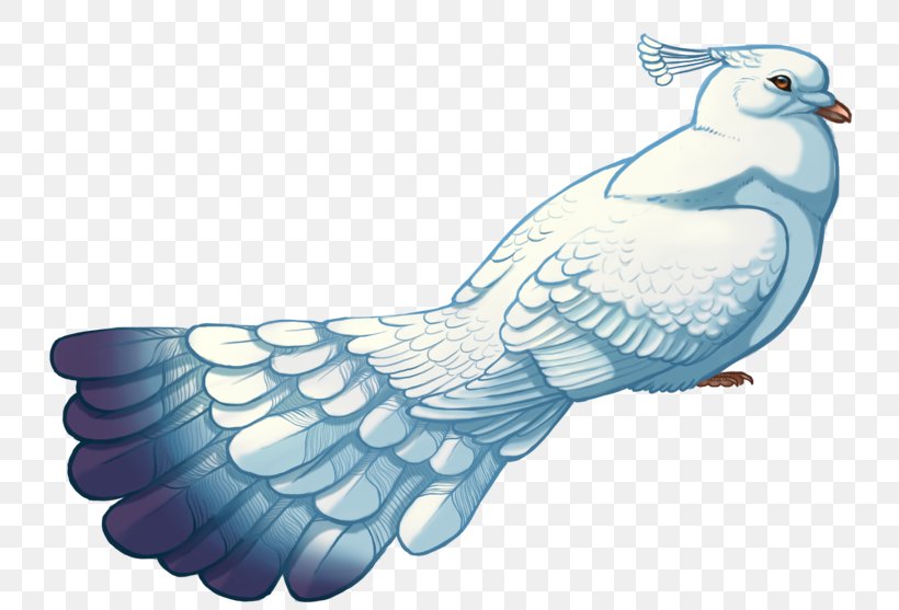 Beak Bird Of Prey Feather Wing, PNG, 800x557px, Beak, Art, Bird, Bird Of Prey, Fauna Download Free