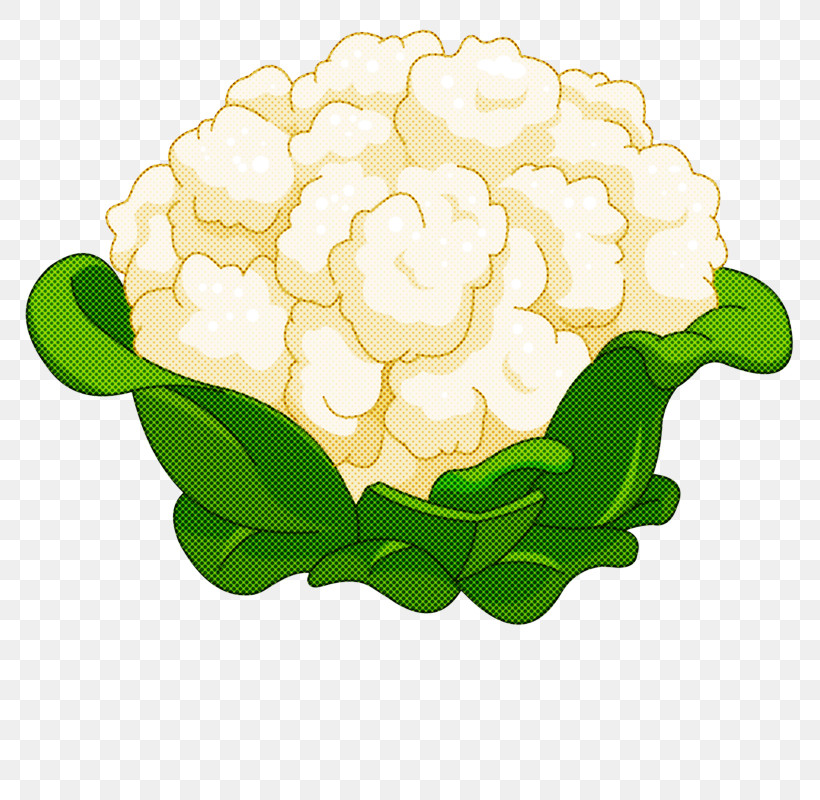 Floral Design, PNG, 800x800px, Floral Design, Cut Flowers, Flower, Garden, Garden Roses Download Free