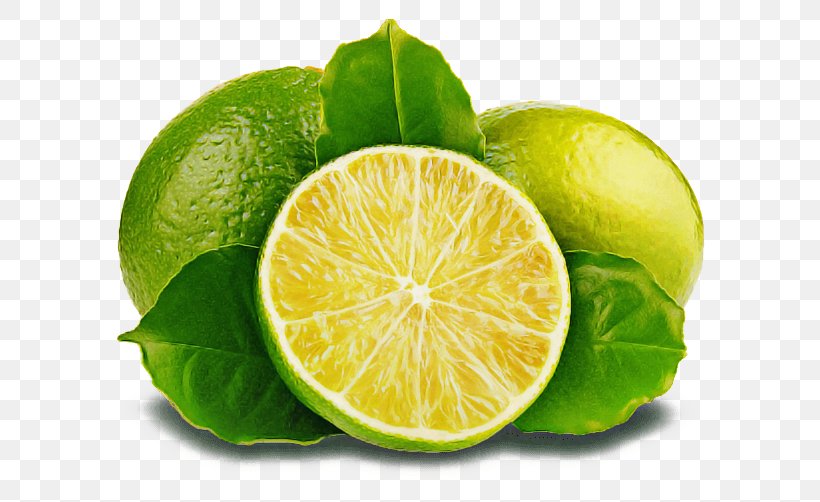 Persian Lime Key Lime Lime Citrus Kaffir Lime, PNG, 592x502px, Persian Lime, Citrus, Food, Fruit, Kaffir Lime Download Free