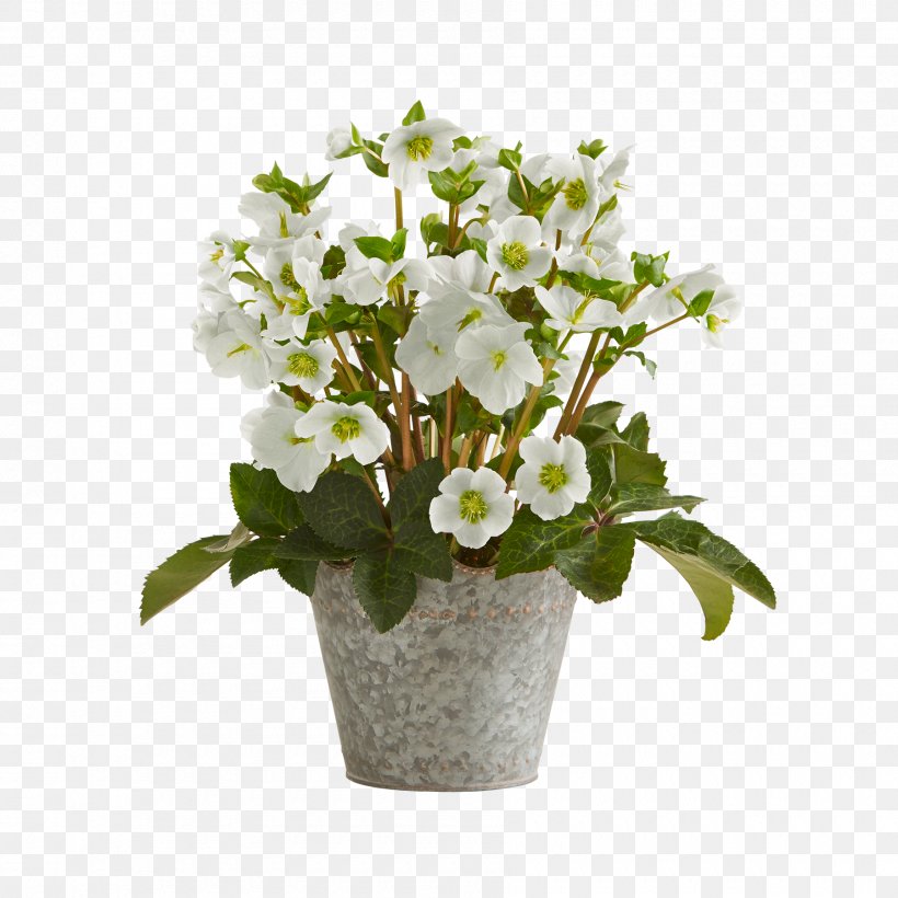 Cut Flowers Flower Bouquet Blume, PNG, 1800x1800px, Cut Flowers, Artificial Flower, Blume, Blumenversand, Floral Design Download Free