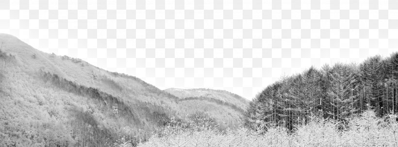 Dahan Dongzhi Snow, PNG, 1920x713px, Dahan, Black And White, Dongzhi, Grass, Monochrome Download Free
