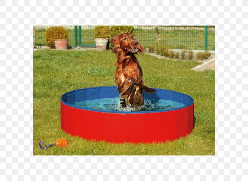 Dog Swimming Pool Bathtub Hot Tub Puppy, PNG, 600x600px, Dog, Bathing, Bathtub, Bird Bath, Cat Download Free
