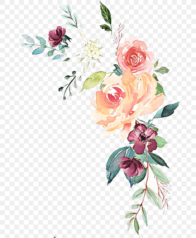 Garden Roses, PNG, 683x996px, Flower, Bouquet, Common Peony, Cut Flowers, Floral Design Download Free